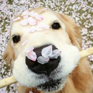 美女把逼给男人插
